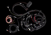 Haltech Elite 2500 terminated wiring harness with EV1 injector connectors, coiled loom, black relay box, and colored wire bundle on black background