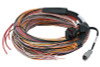 Haltech PD16 Flying Lead Harness 5M