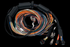 Haltech NEXUS R3 Universal Wire-In Harness, coiled multicolor wires with black loom and connectors