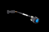 Haltech Nexus Rebel LS Gen IV oil pressure sensor adaptor harness with blue 3 pin connector