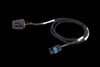 Haltech NEXUS Rebel LS T56 transmission harness, braided cable with black and blue connectors on each end
