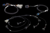 Haltech NEXUS Rebel LS Gen III harness set with main connectors and four injector sub harness leads