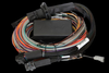 Haltech Elite 2500/2500T wire-in harness, black junction box with multicolored wire loom and connectors