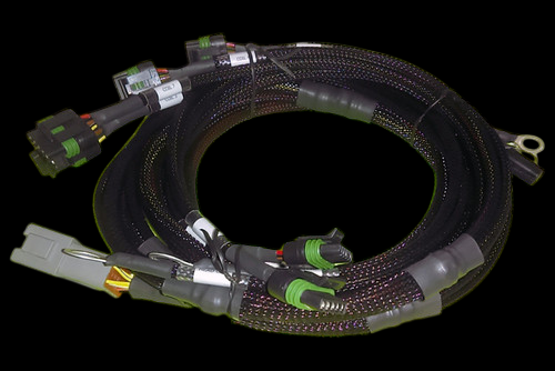 Haltech 8 Channel IGN-1A coil harness, coiled wiring with connectors and ring terminal, black braided sleeving