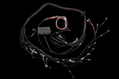 Haltech Elite 2000/2500 terminated engine harness with connectors, relay box, coiled wiring on black background