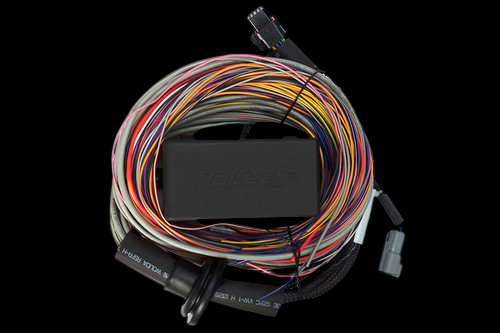 Haltech Elite 550 wire in harness coil, multicolor wires with connectors and central control module