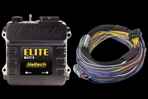 Haltech Elite 750 ECU with basic wire in harness, front view showing labeled connector ports