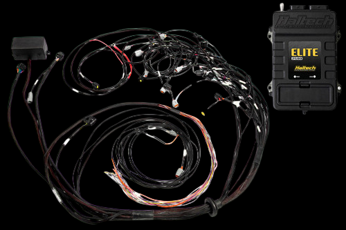 Haltech Elite 2500 ECU with terminated wiring harness kit, OE injector connectors visible, coiled loom layout.