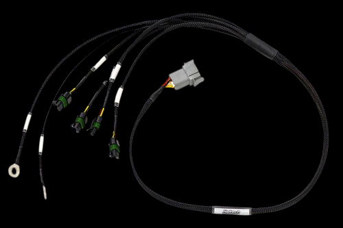 Haltech Elite 1000/1500 terminated ignition harness with braided cables, gray connector, and four green plugs