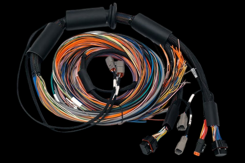Haltech NEXUS R3 Universal Wire-In Harness, coiled multicolor wires with black loom and connectors
