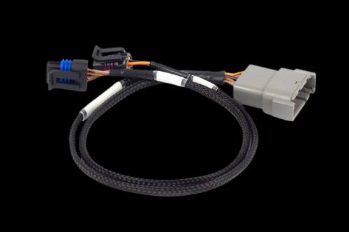 Haltech NEXUS Rebel LS Cable Throttle & IAC Sub-Harness, black braided cable with gray and black connectors on each end