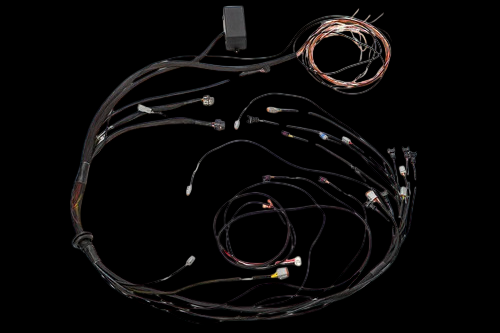 Haltech Elite 1000/1500 terminated main wiring harness, coiled overhead view showing connectors and copper coil