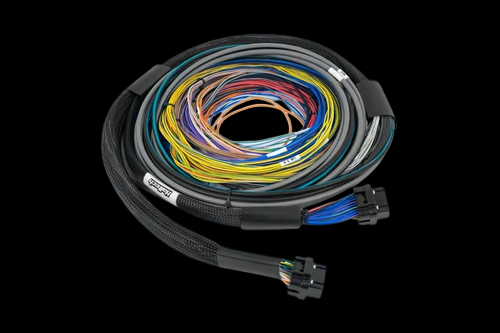 Haltech NEXUS S2/S3 wire-in harness, coiled loom with multicolor wires and two connectors visible