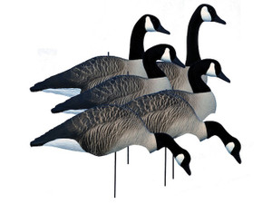 Higdon Alpha Wobbler Magnum Full Form Shell Canada Goose Decoy Polymer 6-Pack