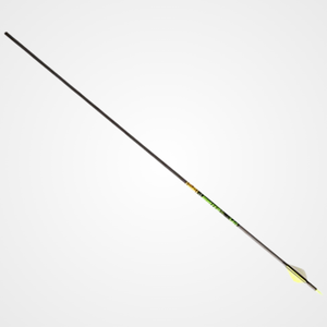 Gold Tip Hunter XT 300 Arrow w/2" Raptor Vanes 6pk