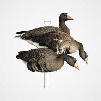 Higdon FLATS Standard Specklebelly Goose Silhouette Decoys  12-Pack