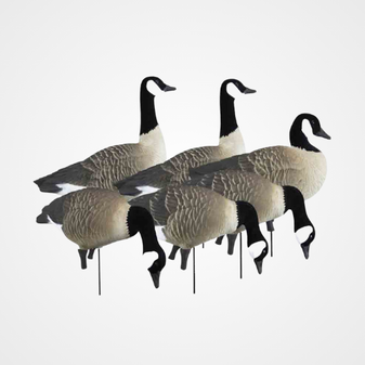 Higdon Apex Full Size Full Body Canada Goose Decoys 6-Pack