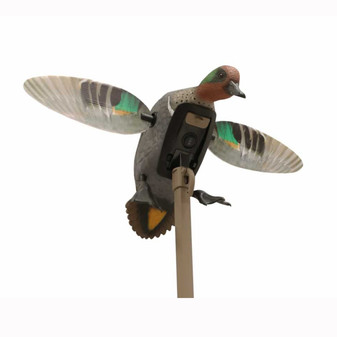 Mojo Elite Series Green-Winged Teal Motorized Duck Decoy Mojo Elite Series Green-Winged Teal Motorized Duck Decoy