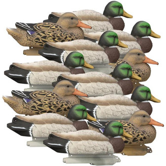 Higdon Standard Mallard Filler Pack Foam Filled- 12 Pack