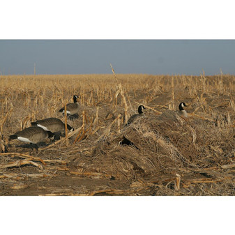 Avery Killerweed Layout Blind Kit