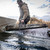 MoMarsh 54" Welded Floating Gun Case