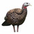 Avian X LCD Breeder Hen Turkey Decoy
