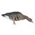 Avian X AXF Flocked Fusion Pack Specklebelly Geese 6-Pack