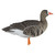 Avian X AXF Flocked Fusion Pack Specklebelly Geese 6-Pack