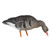 Avian X AXF Flocked Fusion Pack Specklebelly Geese 6-Pack