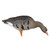 Avian X AXF Flocked Fusion Pack Specklebelly Geese 6-Pack