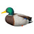 Avian X AXP Full Body Mallard Decoys with Slotted Decoy Bag 6-Pack