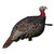 Avian X LCD Quarter Strut Jake Turkey Decoy