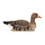 Avian X Topflight Specklebelly Goose Floating Decoys 4-Pack