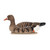 Avian X Topflight Specklebelly Goose Floating Decoys 4-Pack