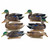 Avian X Top Flight Early Season Mallards 6-Pack