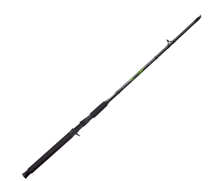 Zebco Big Cat Casting Rod