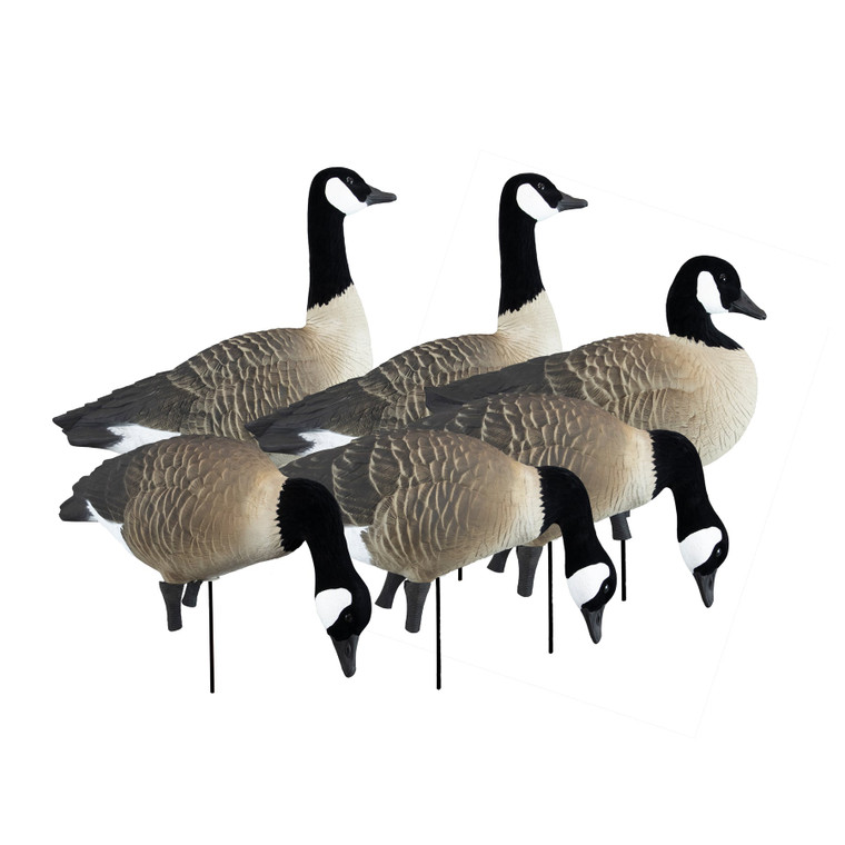 Higdon Apex Full Body Canada Decoy