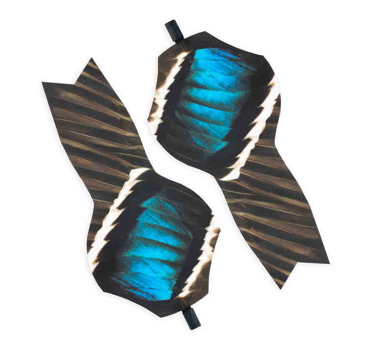 Lucky Duck XHDI Printed Wings