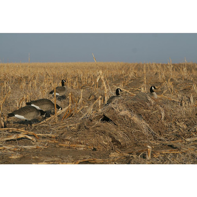 Avery Killerweed Layout Blind Kit
