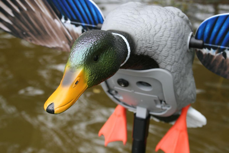 Mojo Elite Series King Mallard