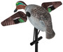 Lucky Duck Lucky Teal HD Lucky Duck Lucky Teal HD