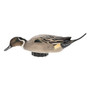 Avian X Power Shaker Pintail Surface Feeder Duck Decoy