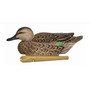 Avian X Topflight Floating Green-Winged Teal Decoys 6-Pack