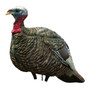 Avian X LCD Quarter Strut Jake Turkey Decoy