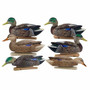 Avian X Top Flight Early Season Mallards 6-Pack
