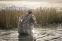 Browning Floating Decoy Bag