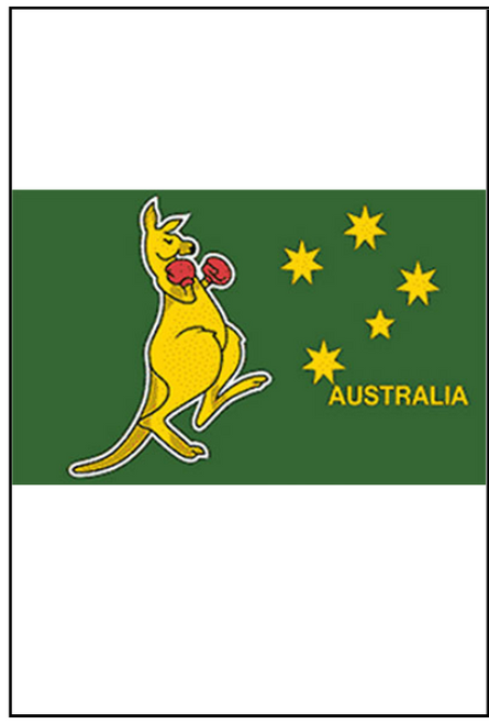 Boxing Kangaroo Flag 90cm x 150cm. Shop online or instore at Singapore Charlie's Cairns Australia.