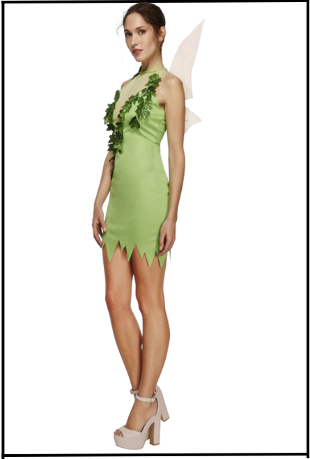 Adult Tinkerbell Costume, Peter Pan, Book Week, Disney, Fancy Dress, cartoon, movie character, Shop online or instore at Singapore Charlie Cairns Australia.
