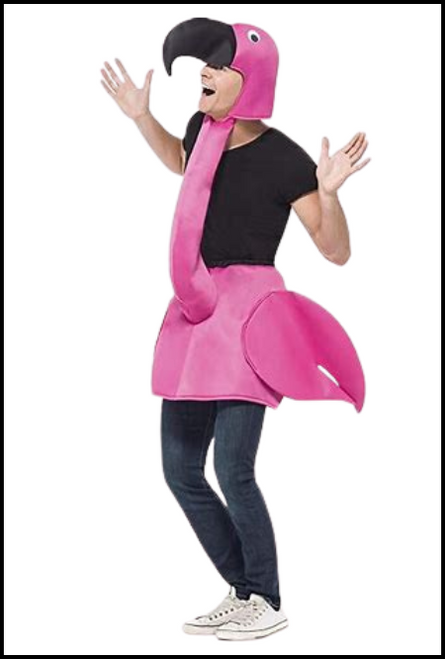 Flamingo Costume