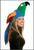 Parrot Bird Hat Fancy Dress Costume Accessory Rainbow